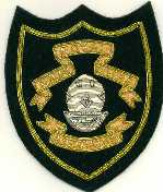 Royal Navy DIVERS ASSOCIATION Blazer Badge